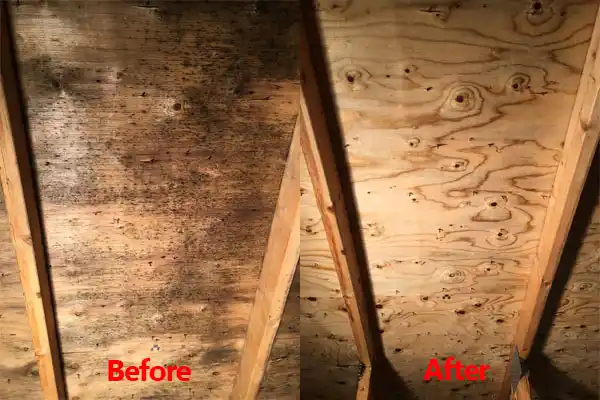 water damage restoration service Lame Deer